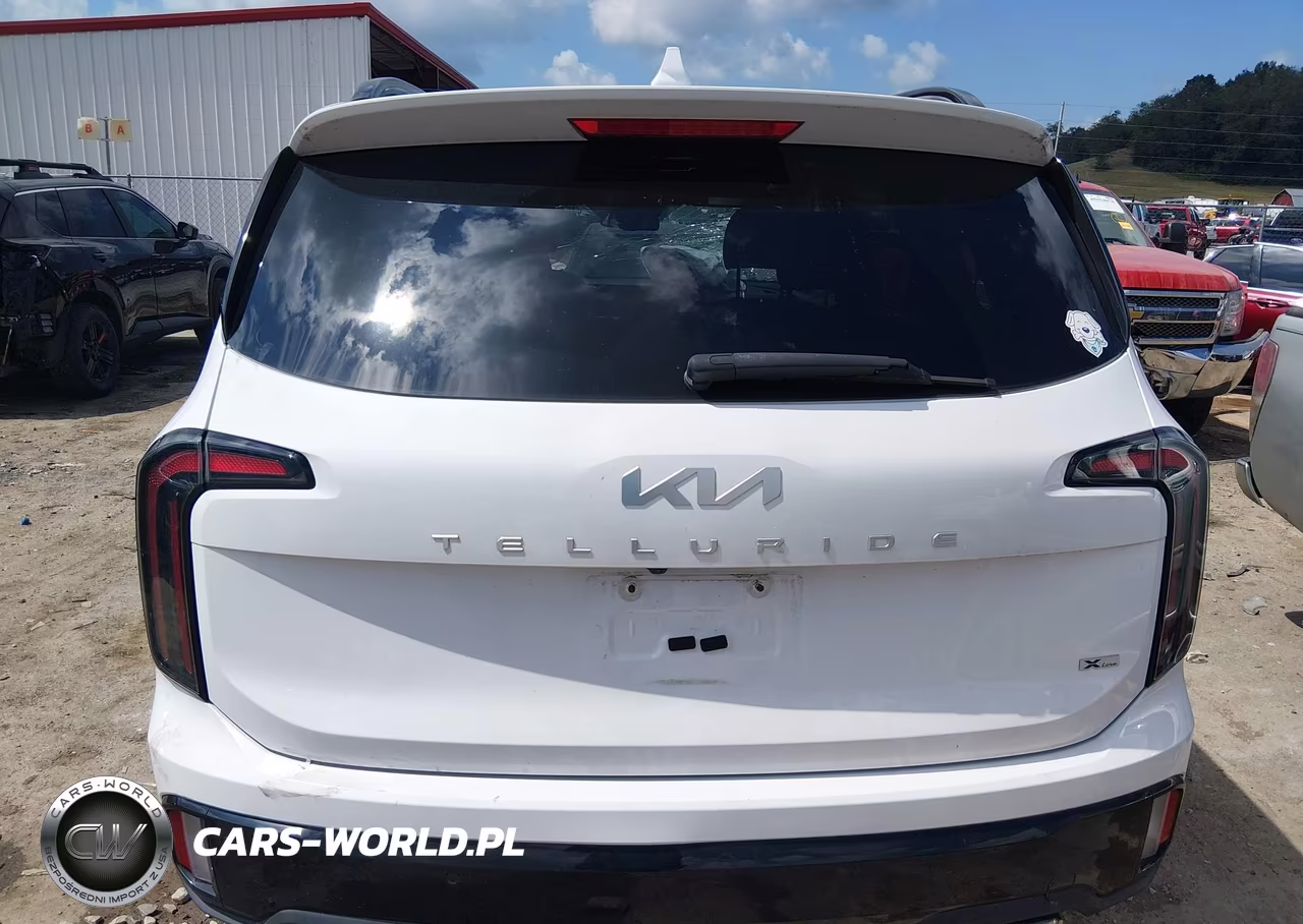 2024 Kia Telluride Ex X-Line VIN:5XYP3DGC4RG493377 - 16