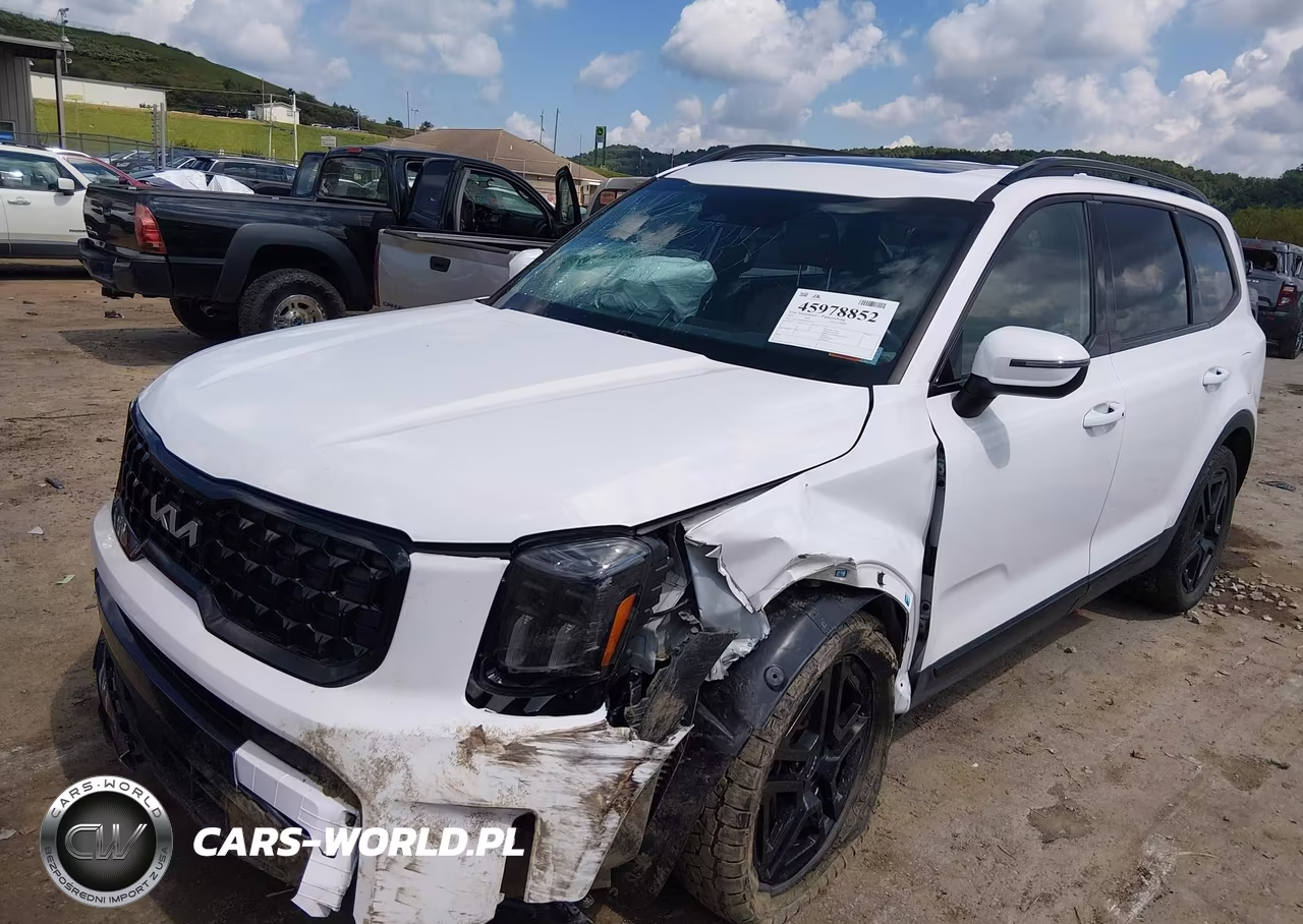 2024 Kia Telluride Ex X-Line VIN:5XYP3DGC4RG493377 - 2