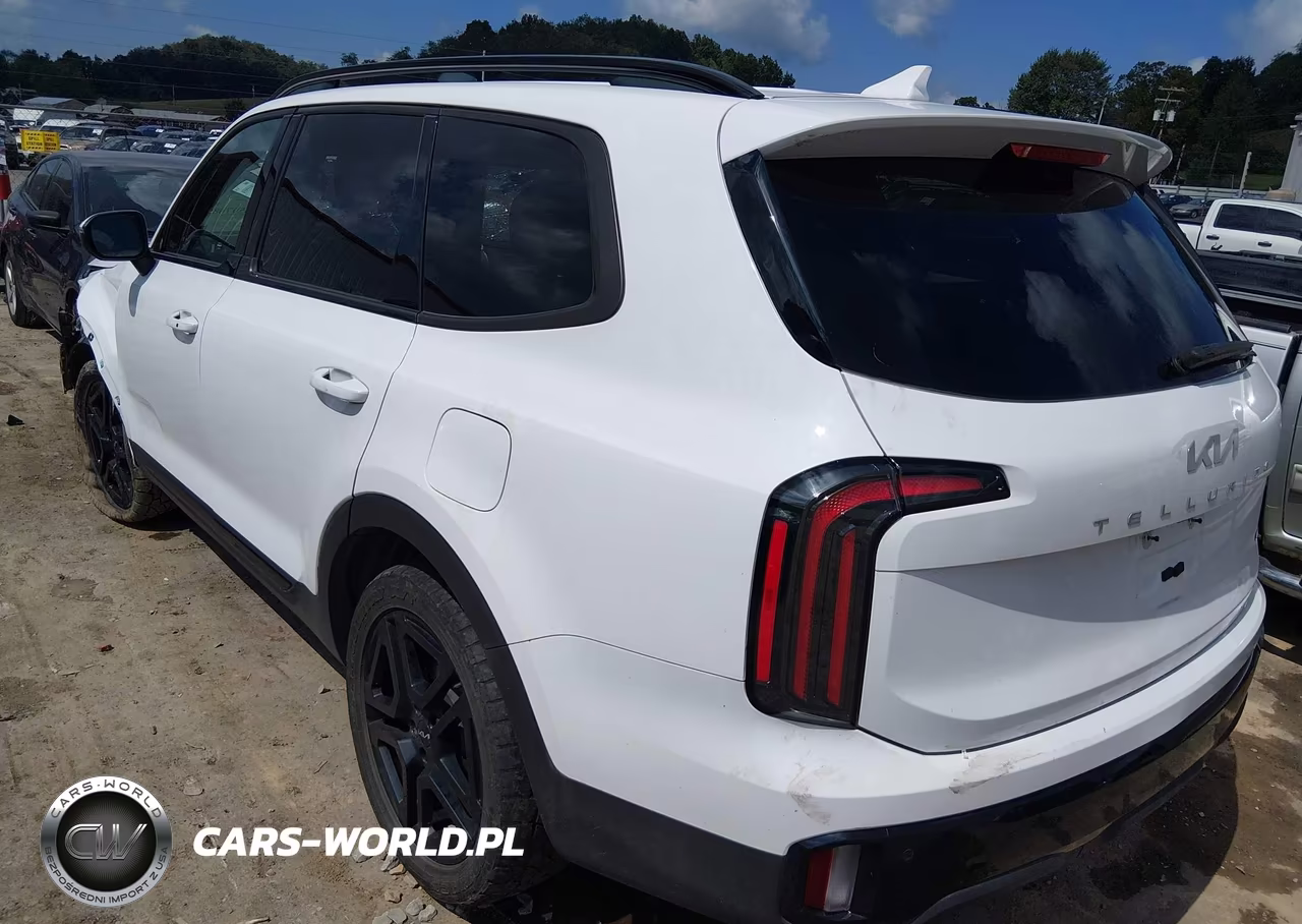 2024 Kia Telluride Ex X-Line VIN:5XYP3DGC4RG493377 - 3