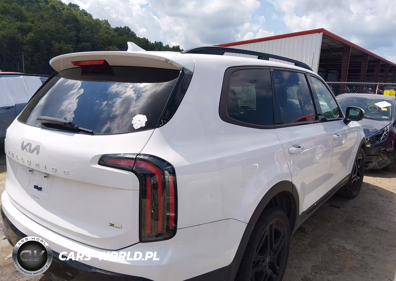 2024 Kia Telluride Ex X-Line VIN:5XYP3DGC4RG493377 - 4