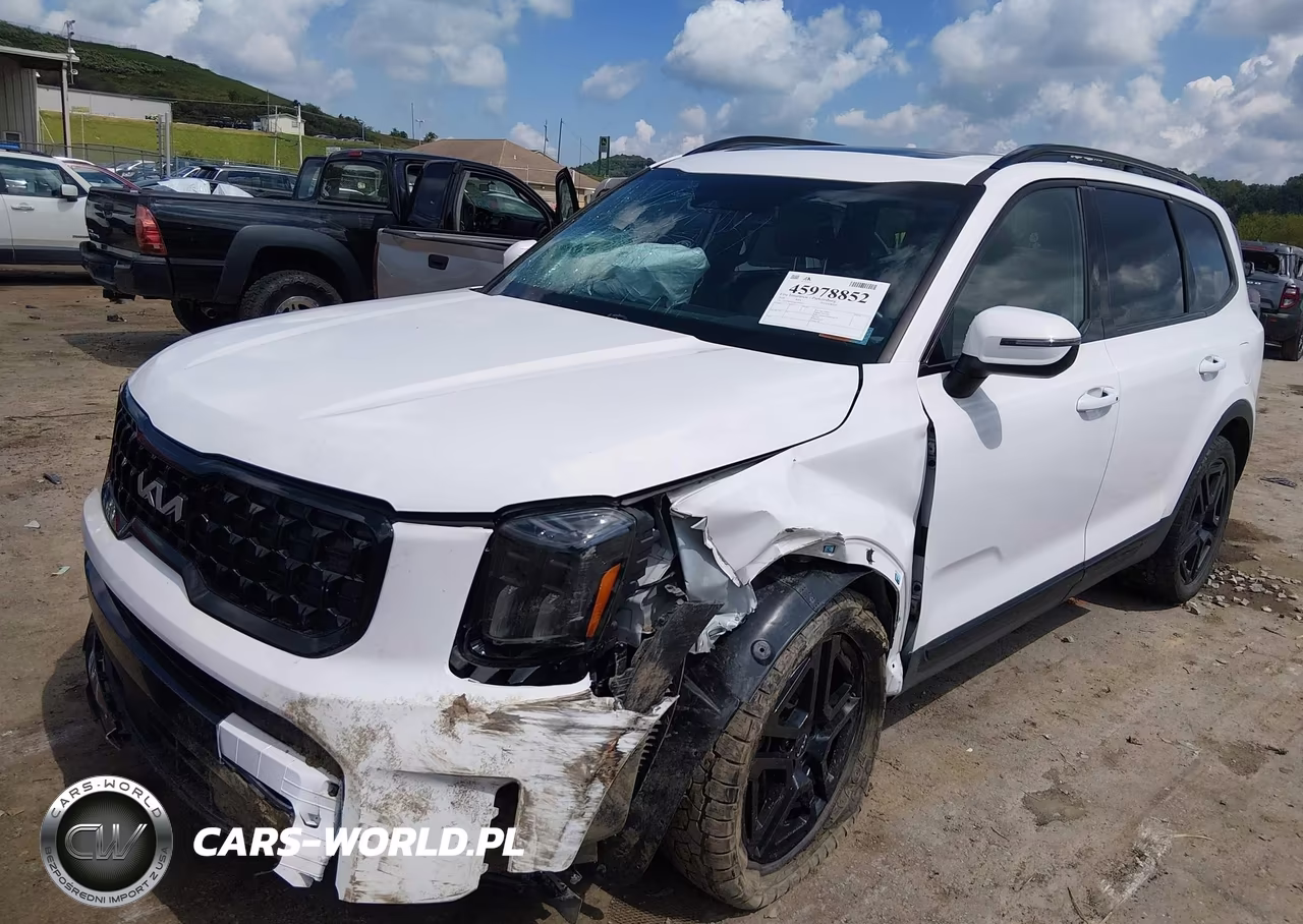 2024 Kia Telluride Ex X-Line VIN:5XYP3DGC4RG493377 - 6