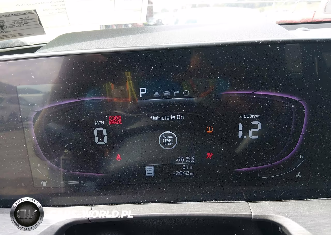 2024 Kia Telluride Ex X-Line VIN:5XYP3DGC4RG493377 - 7