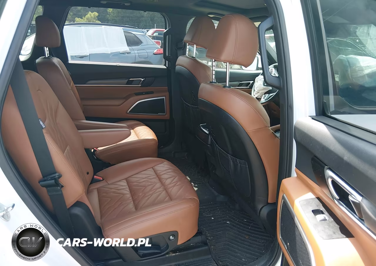 2024 Kia Telluride Ex X-Line VIN:5XYP3DGC4RG493377 - 8