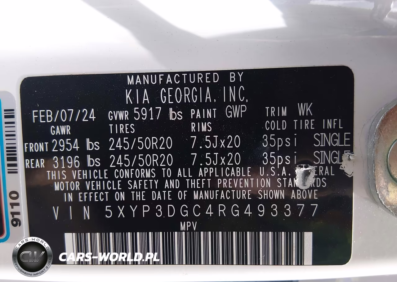 2024 Kia Telluride Ex X-Line VIN:5XYP3DGC4RG493377 - 9