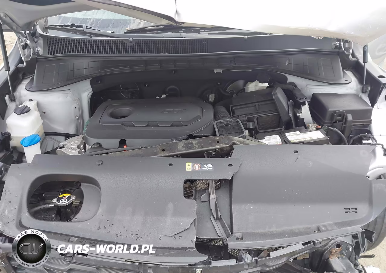 2019 Kia Sorento 2.4L Lx VIN:5XYPG4A38KG595686 - 10