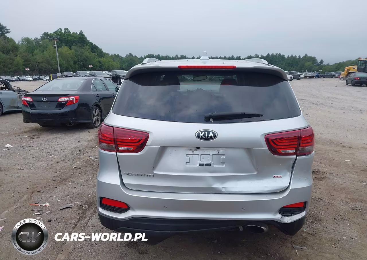 2019 Kia Sorento 2.4L Lx VIN:5XYPG4A38KG595686 - 17