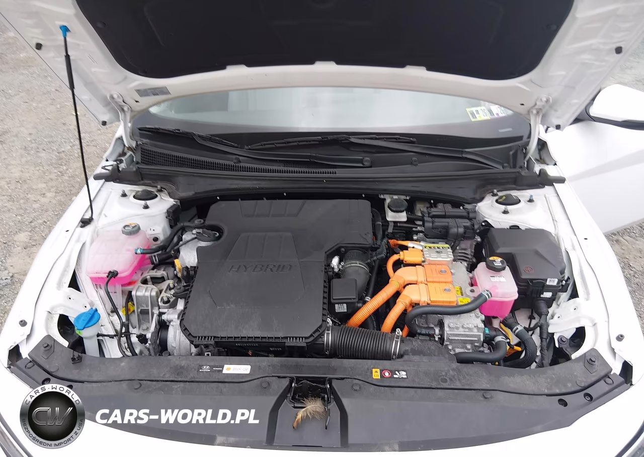 2025 Hyundai Elantra Hybrid Limited VIN:KMHLN4DJ5SU156034 - 10