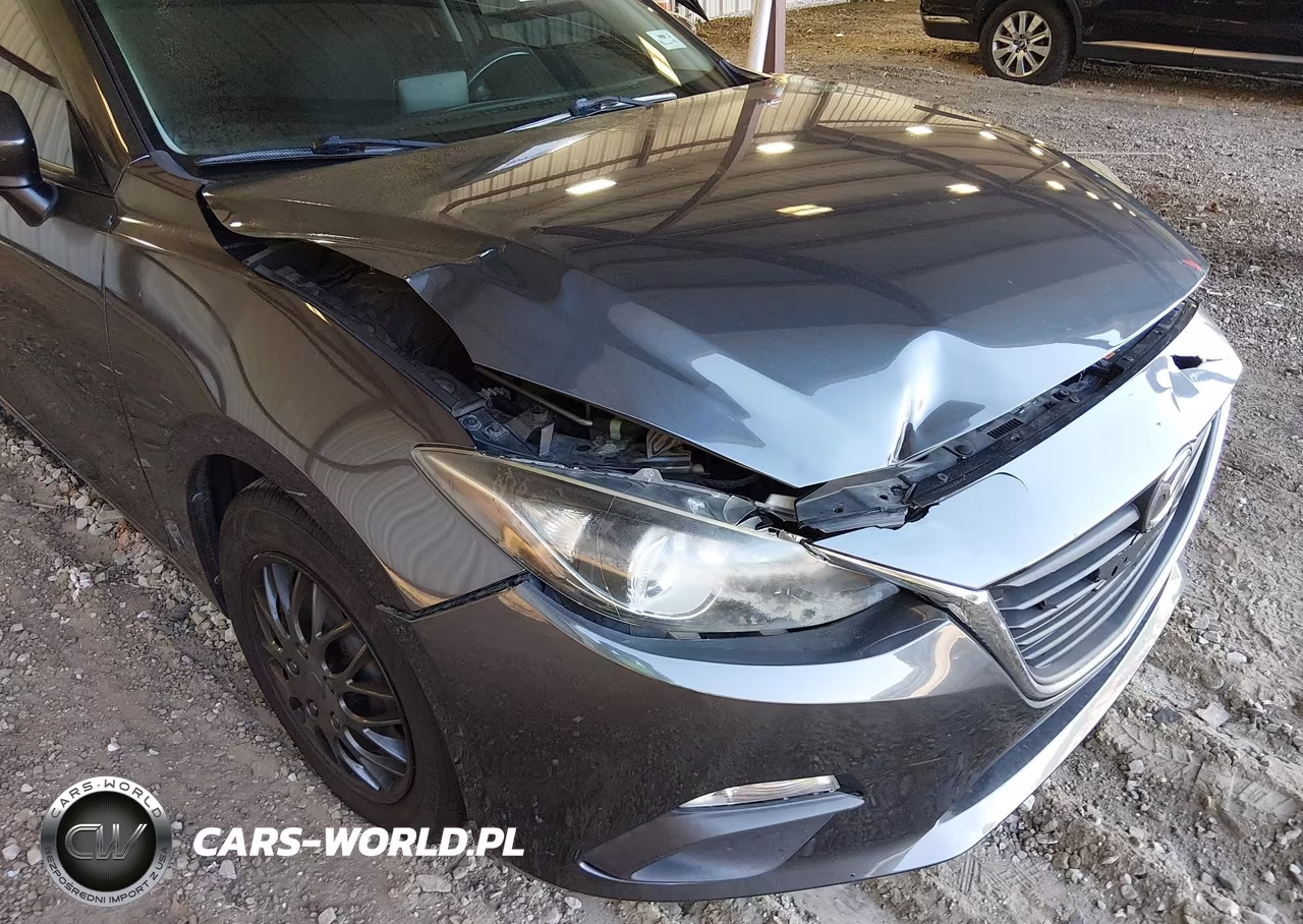 2016 Mazda Mazda3 I Sport VIN:JM1BM1J71G1342138 - 6