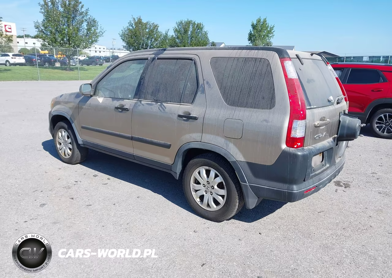 2006 Honda Cr-V Ex VIN:JHLRD78856C042933 - 3