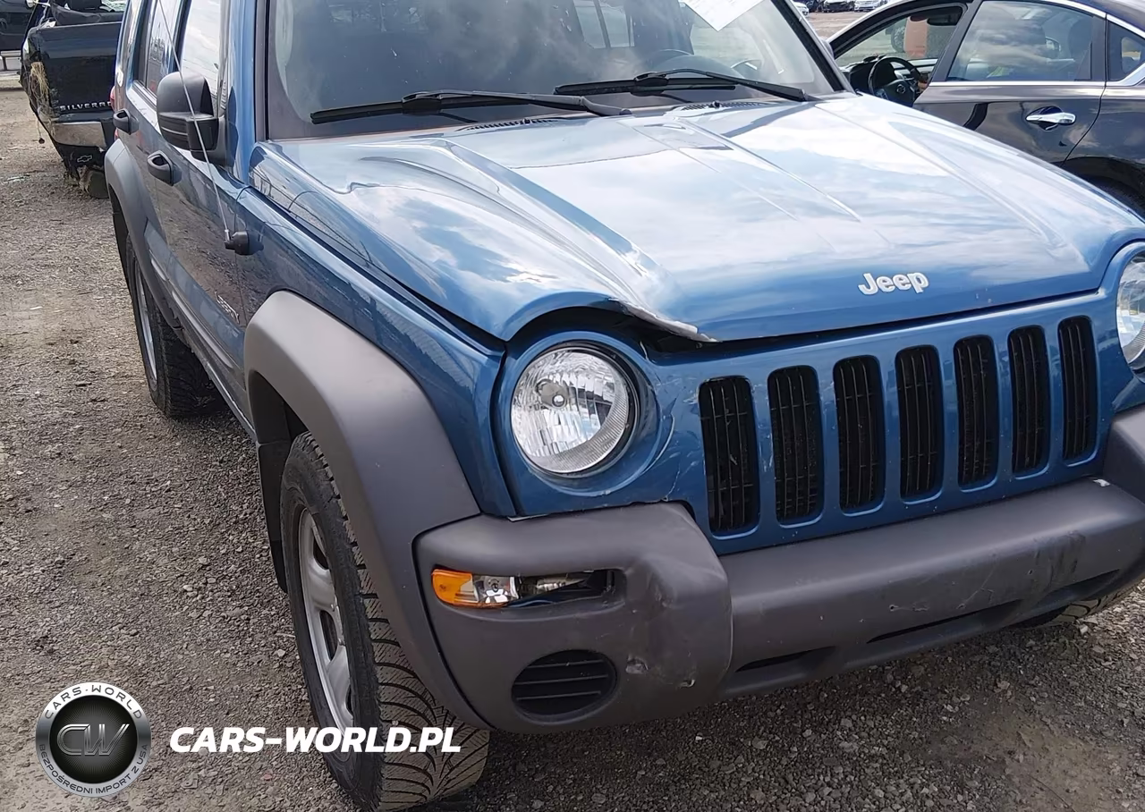 2004 Jeep Liberty Sport VIN:1J4GL48K94W329750 - 6