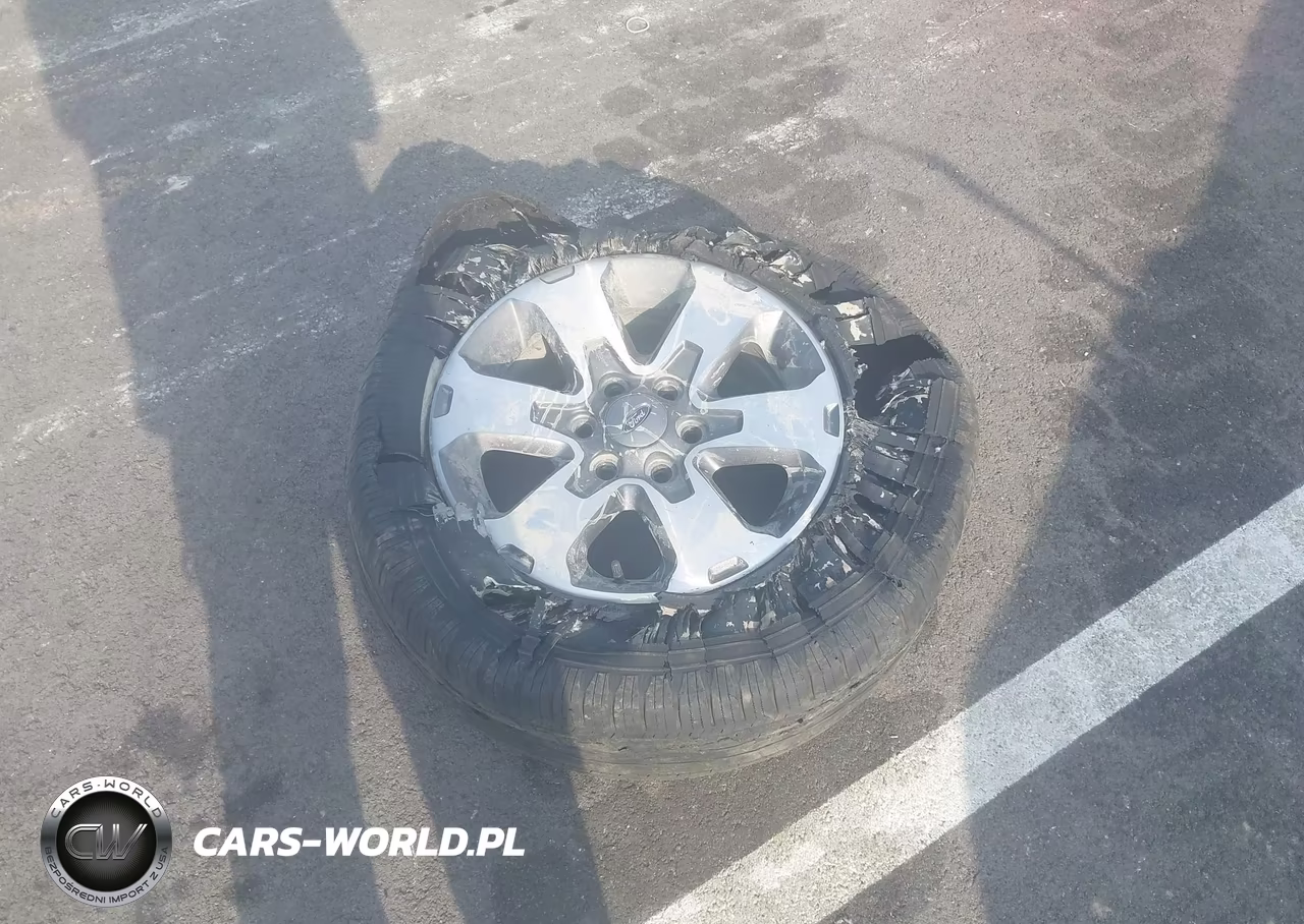 2014 Ford F-150 Fx4 VIN:1FTFW1ET9EKG12856 - 12