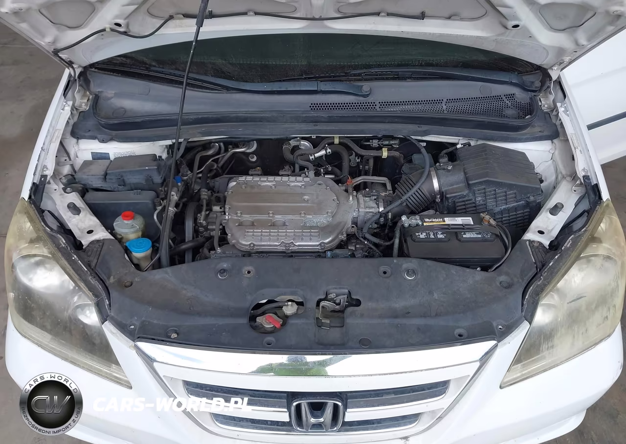 2007 Honda Odyssey Lx VIN:5FNRL38227B111683 - 10