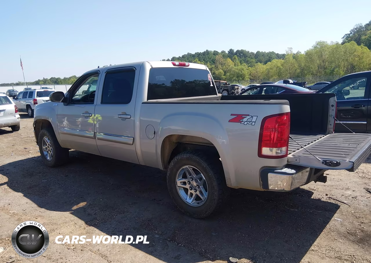 2009 GMC Sierra 1500 Slt VIN:3GTEK33359G221335 - 3