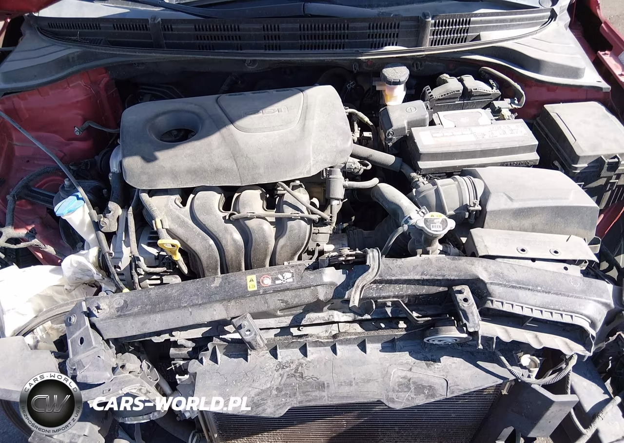 2019 Kia Rio 5-Door S VIN:3KPA25AB1KE225226 - 10