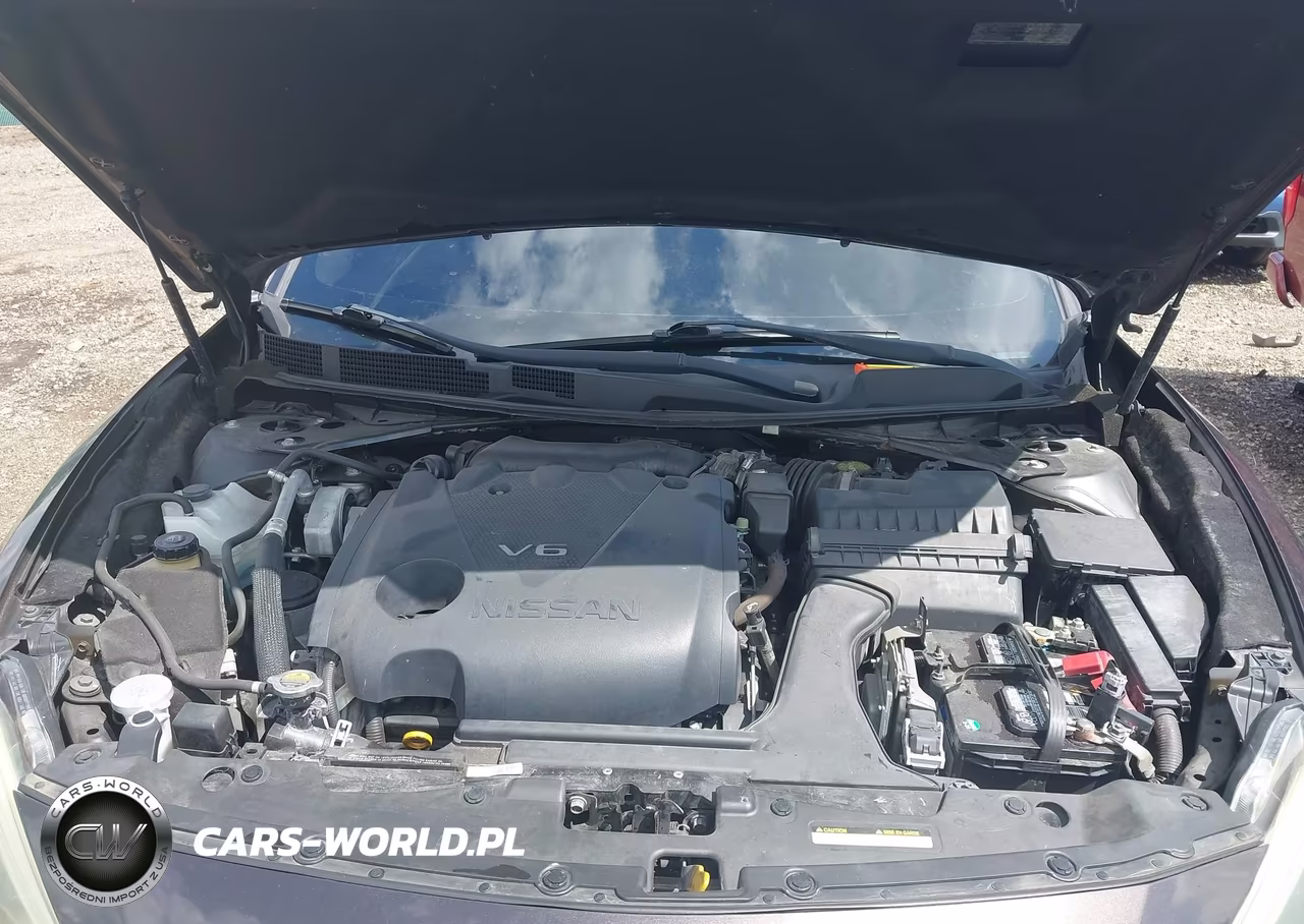 2016 Nissan Maxima 3.5 Sl VIN:1N4AA6AP5GC902190 - 10