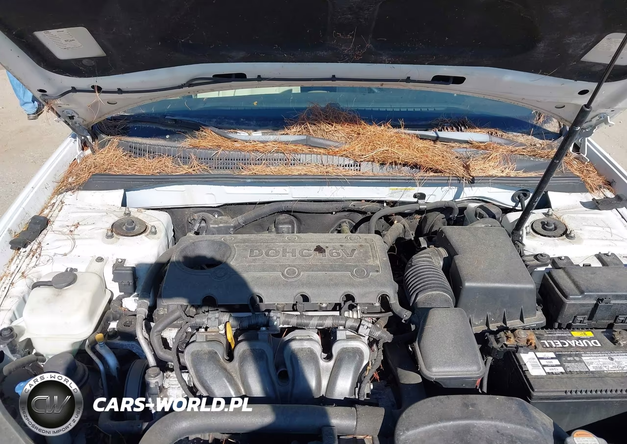 2009 Hyundai Sonata Gls VIN:5NPET46C79H508665 - 10