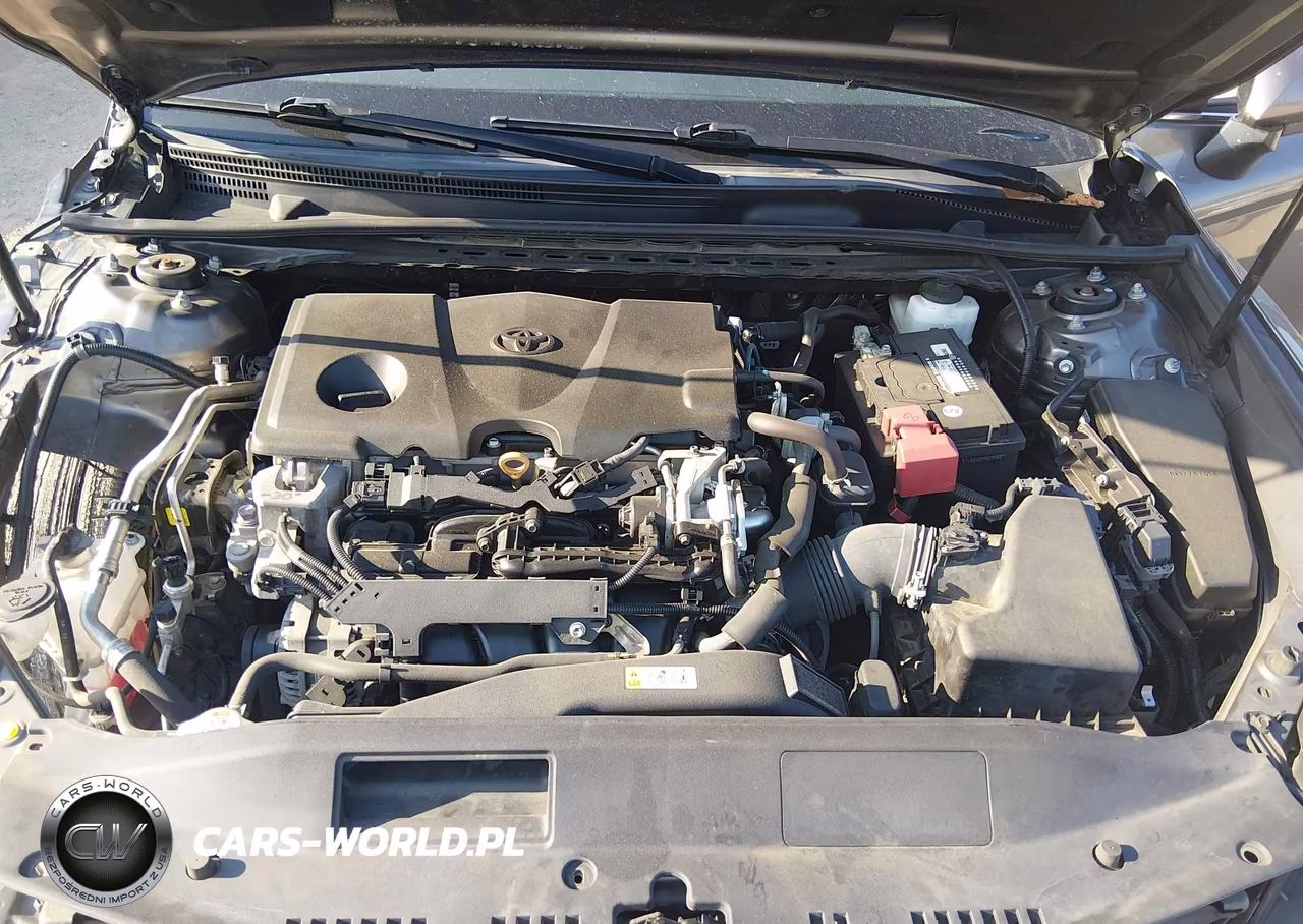 2020 Toyota Camry Le VIN:4T1C11AK3LU973916 - 10