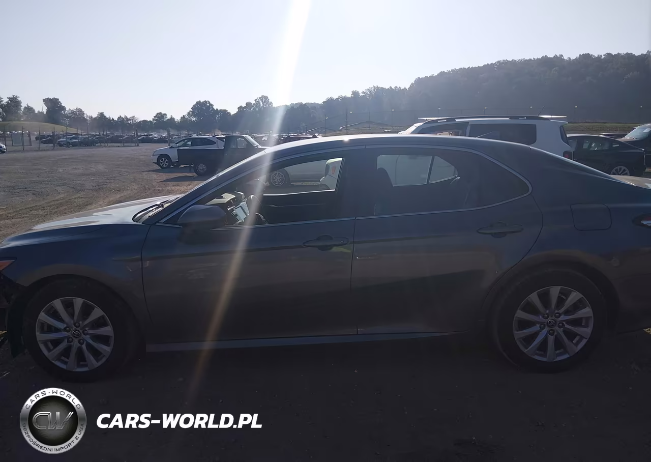 2020 Toyota Camry Le VIN:4T1C11AK3LU973916 - 14