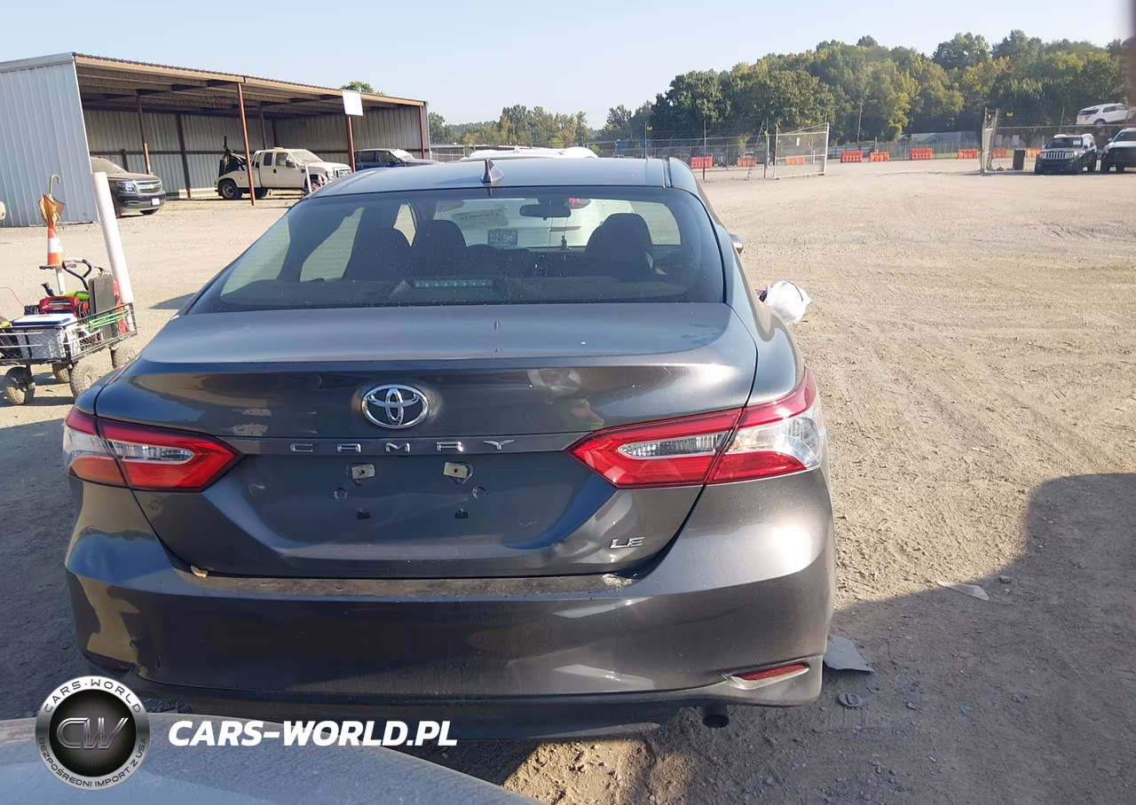 2020 Toyota Camry Le VIN:4T1C11AK3LU973916 - 16