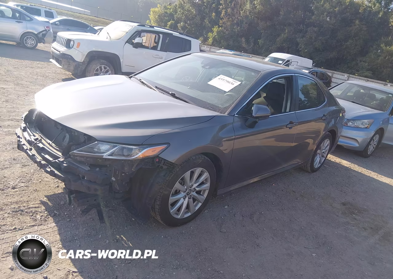 2020 Toyota Camry Le VIN:4T1C11AK3LU973916 - 2