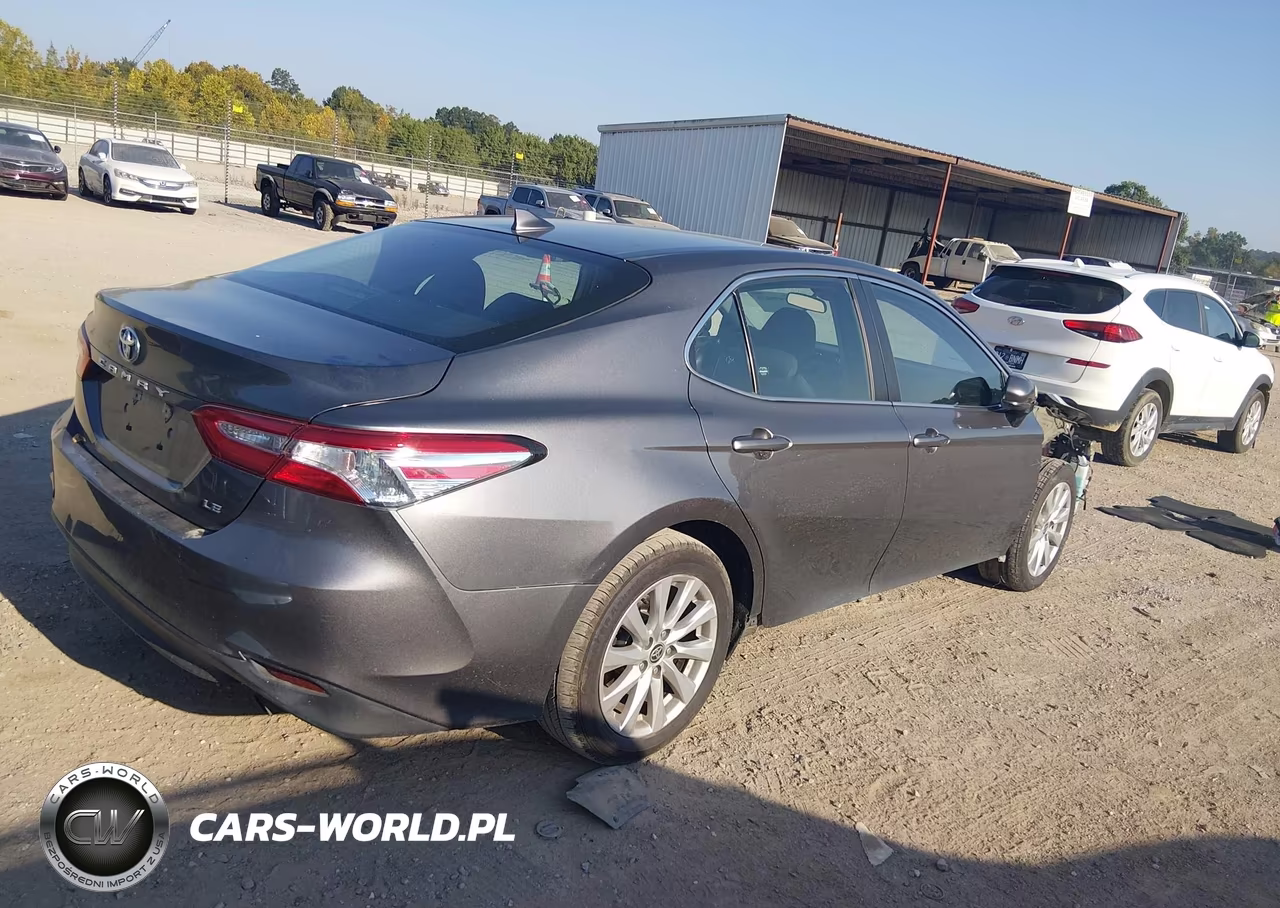 2020 Toyota Camry Le VIN:4T1C11AK3LU973916 - 4