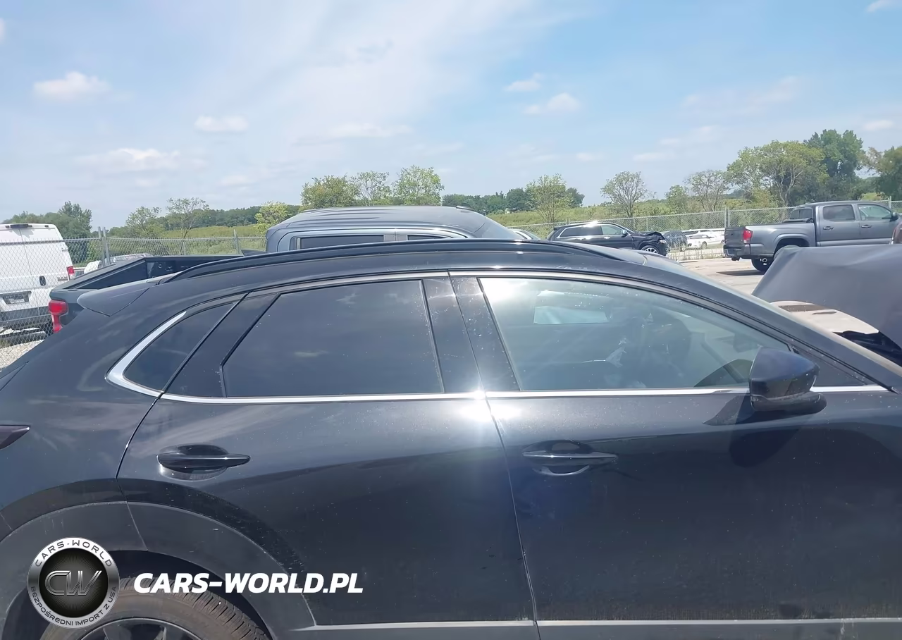 2025 Mazda Cx-30 2.5 Turbo Premium Package VIN:3MVDMBDY5SM848357 - 13