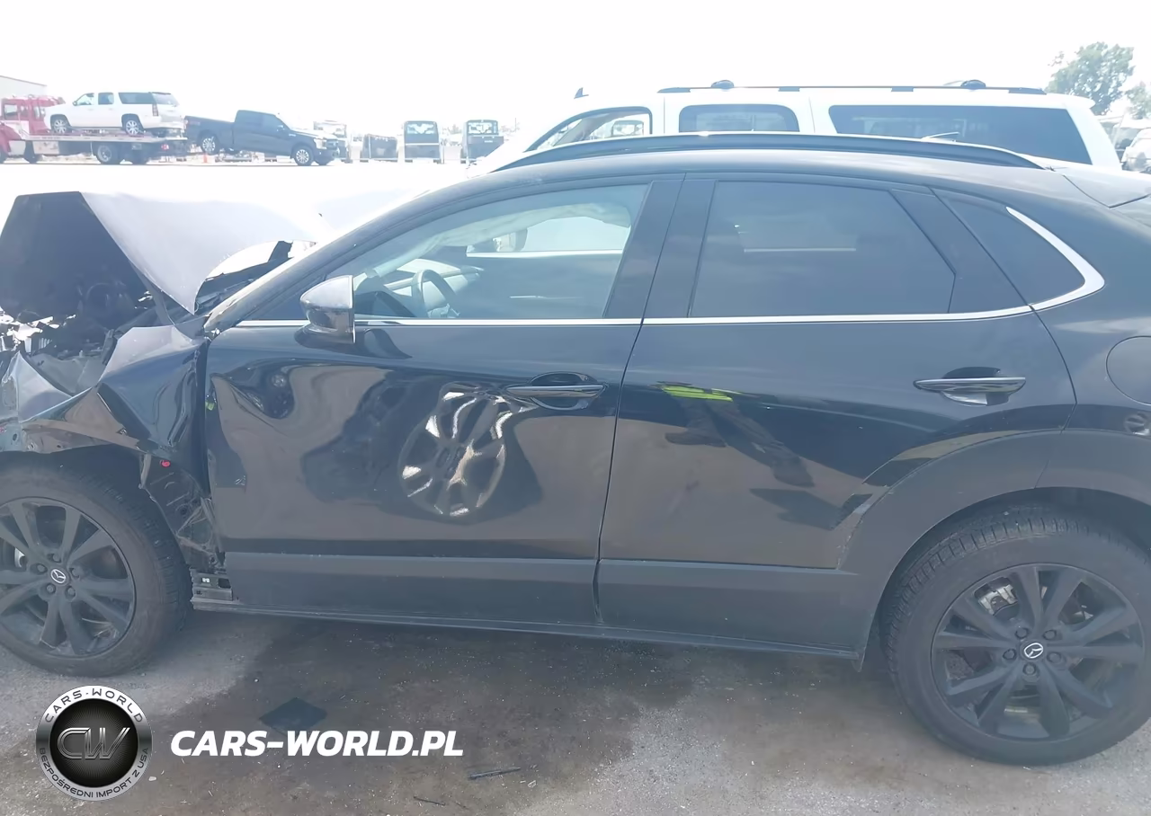 2025 Mazda Cx-30 2.5 Turbo Premium Package VIN:3MVDMBDY5SM848357 - 14