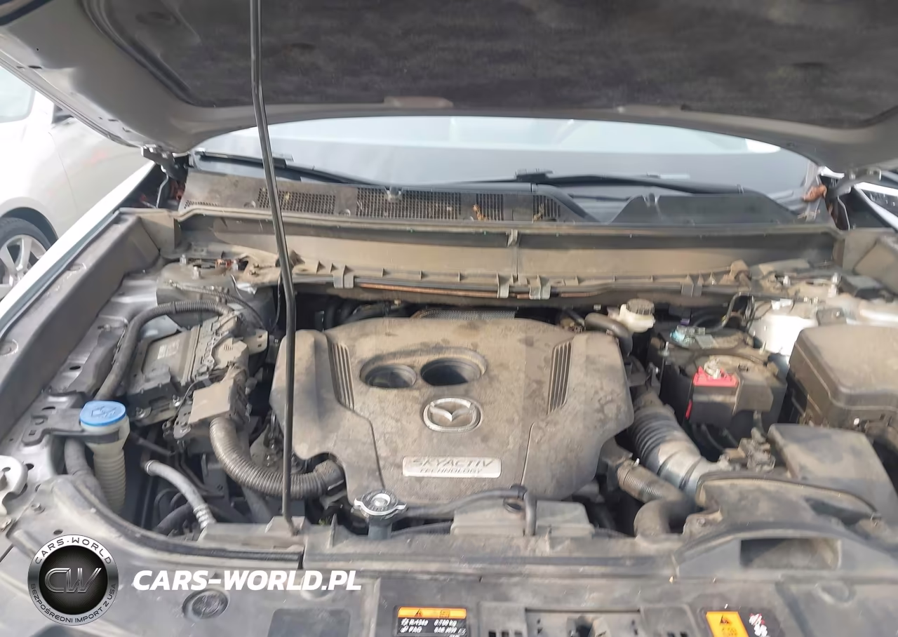 2017 Mazda Cx-9 Sport VIN:JM3TCABY3H0127275 - 10