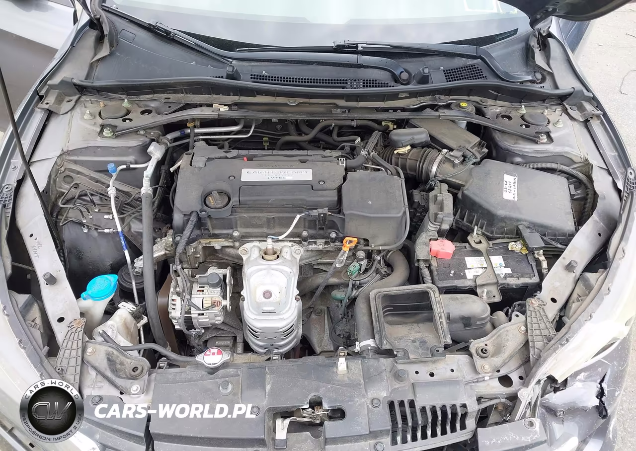 2015 Honda Accord Ex-L VIN:1HGCR2F8XFA257487 - 10