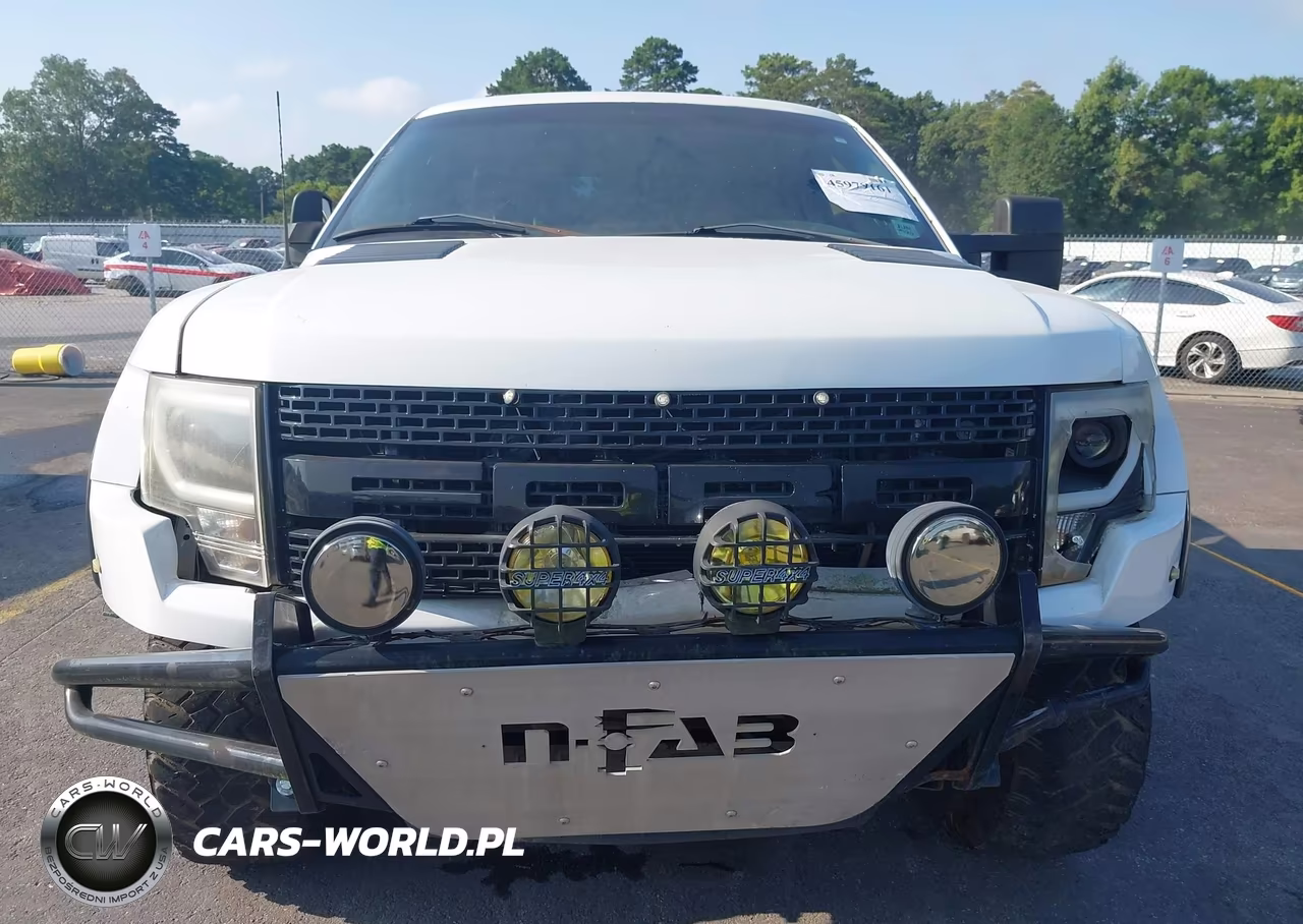 2010 Ford F-150 Fx2 Sport-Lariat-Xl-Xlt VIN:1FTFX1CV1AKA98741 - 12
