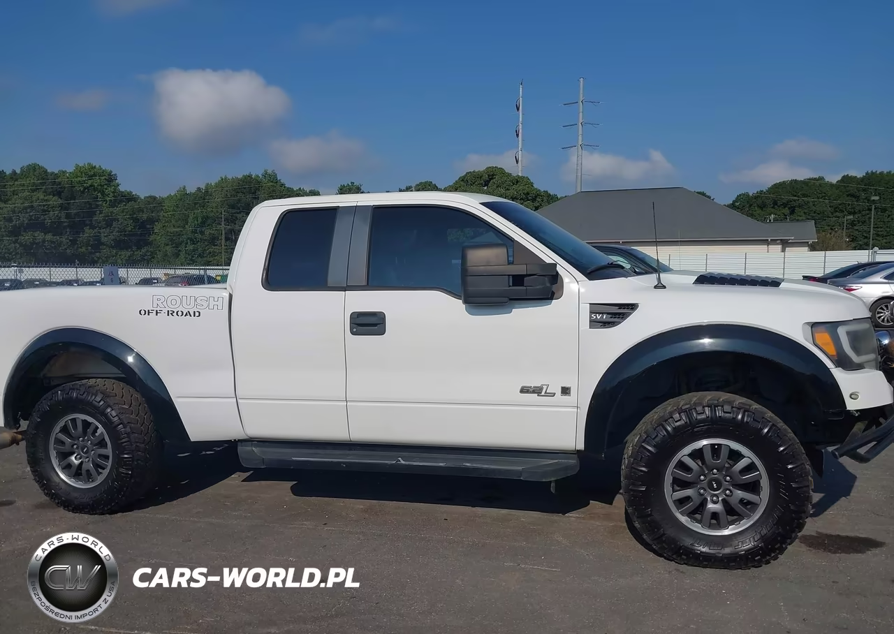 2010 Ford F-150 Fx2 Sport-Lariat-Xl-Xlt VIN:1FTFX1CV1AKA98741 - 13