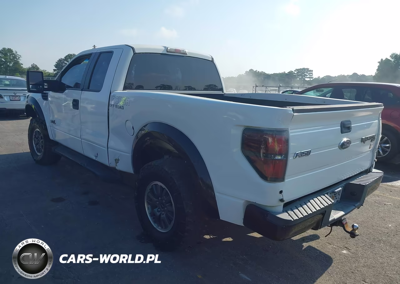 2010 Ford F-150 Fx2 Sport-Lariat-Xl-Xlt VIN:1FTFX1CV1AKA98741 - 3