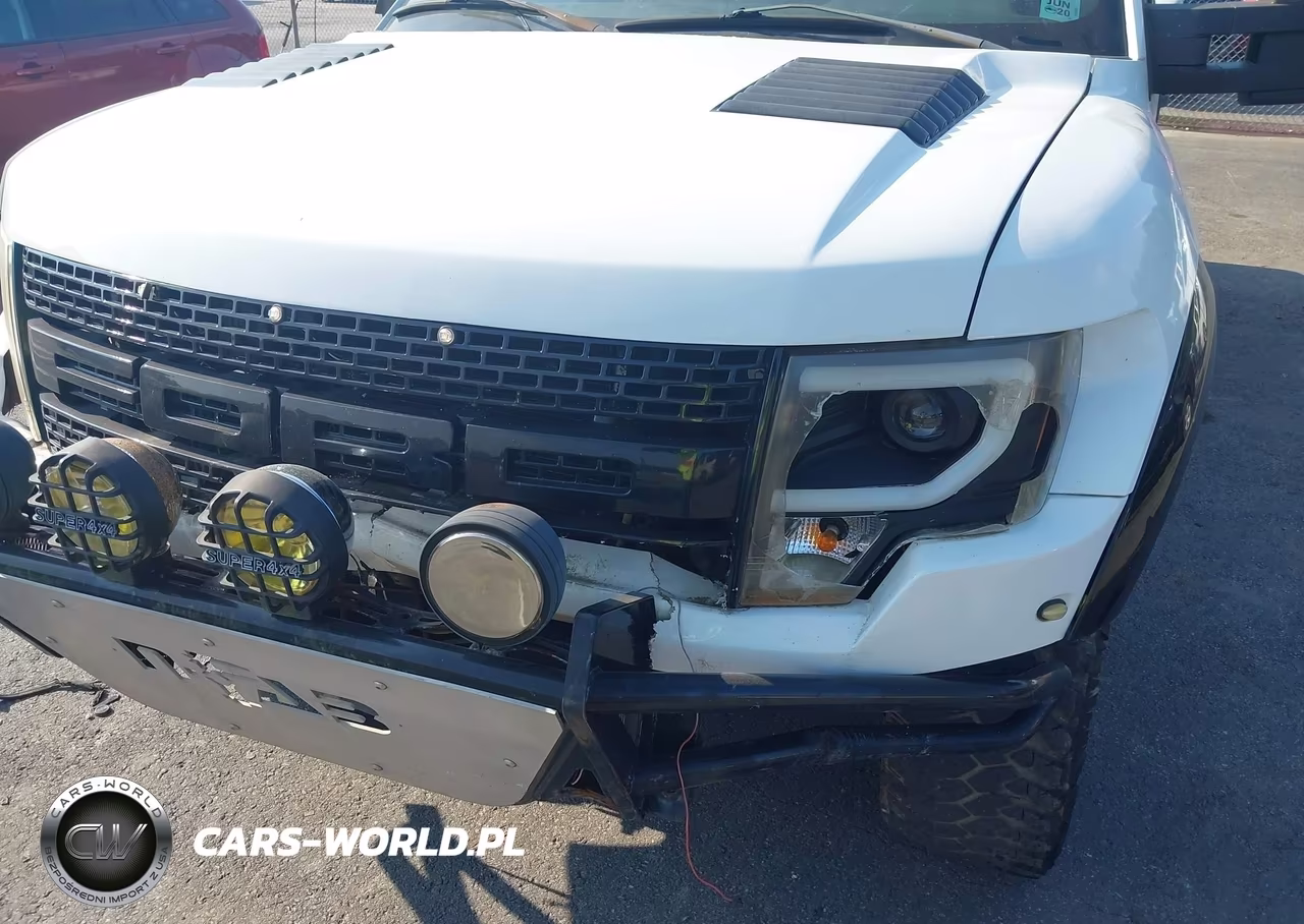 2010 Ford F-150 Fx2 Sport-Lariat-Xl-Xlt VIN:1FTFX1CV1AKA98741 - 6