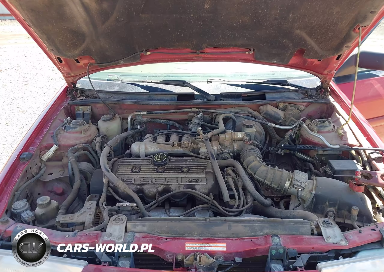 1996 Ford Escort Lx VIN:1FASP15J8TW152644 - 10