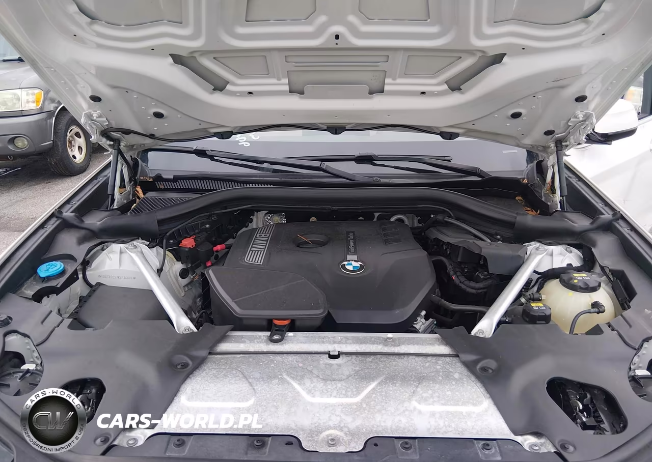 2019 BMW X3 Sdrive30I VIN:5UXTR7C57KLF34876 - 10