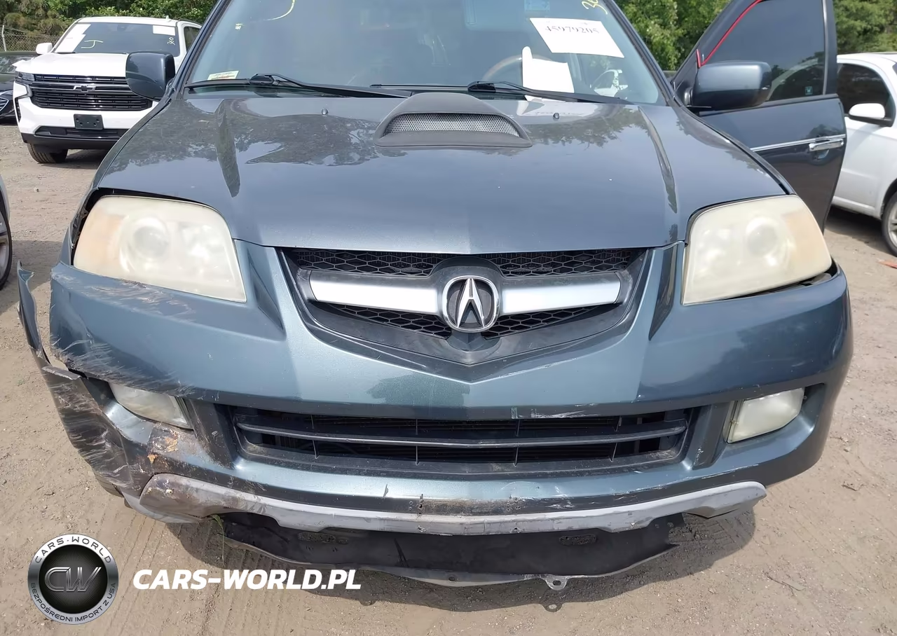 2005 Acura Mdx VIN:2HNYD18785H520927 - 6