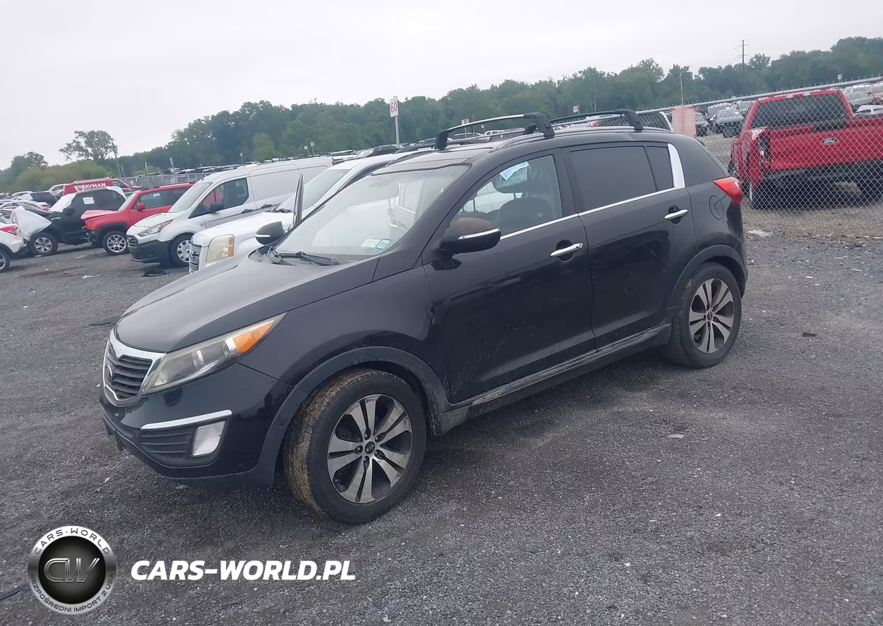 2013 Kia Sportage Ex VIN:KNDPC3A20D7532711 - 2