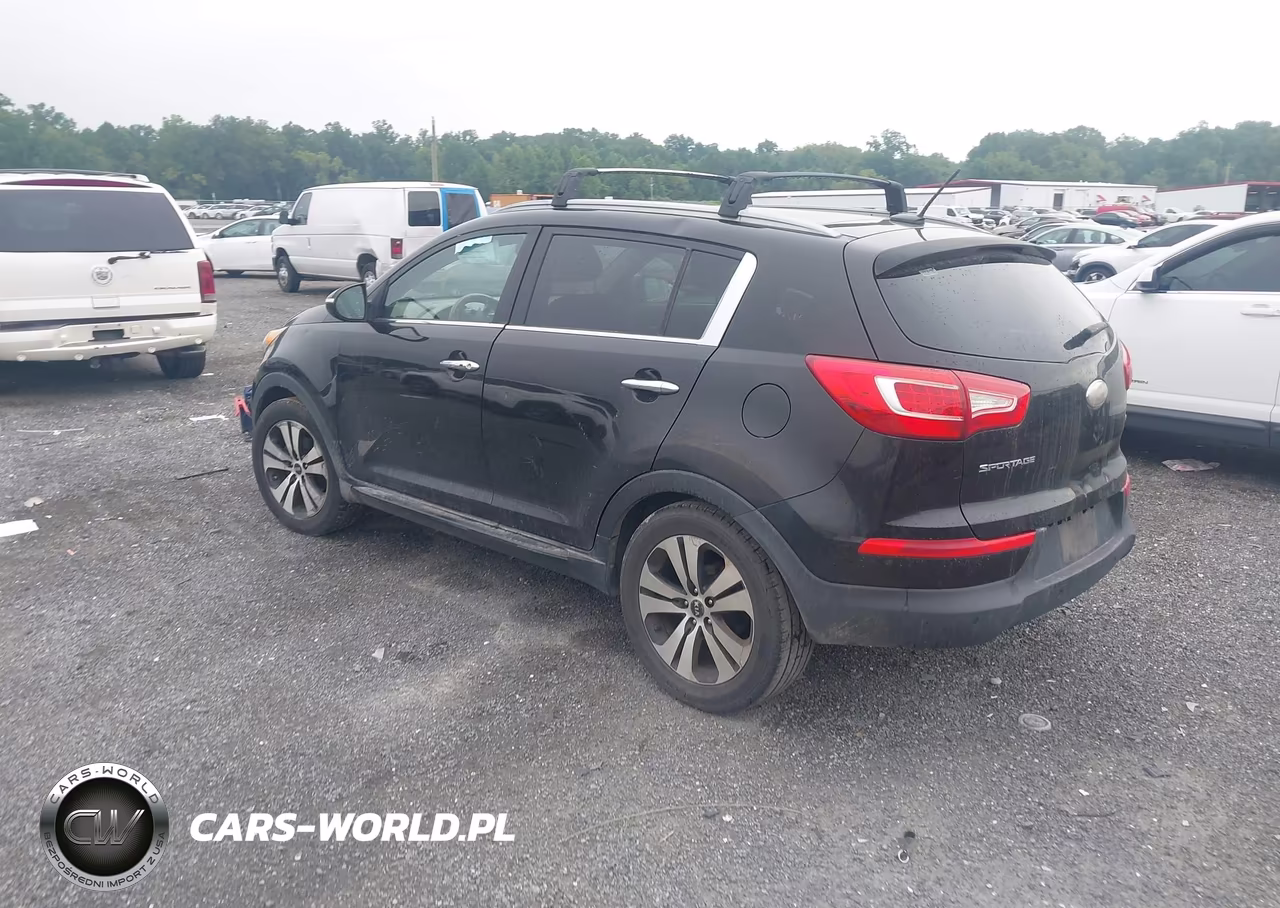 2013 Kia Sportage Ex VIN:KNDPC3A20D7532711 - 3