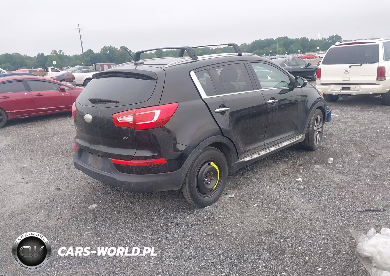 2013 Kia Sportage Ex VIN:KNDPC3A20D7532711 - 4
