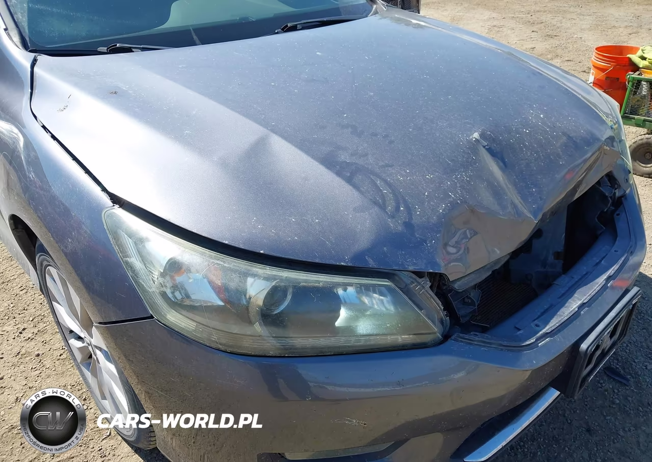 2015 Honda Accord Ex VIN:1HGCR2F70FA207446 - 17