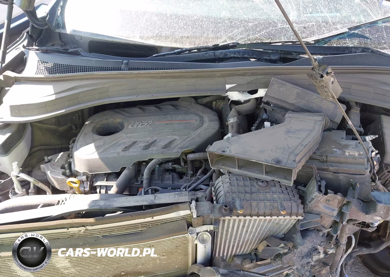 2020 Hyundai Santa Fe Limited 2.0T VIN:5NMS53AA3LH266331 - 10