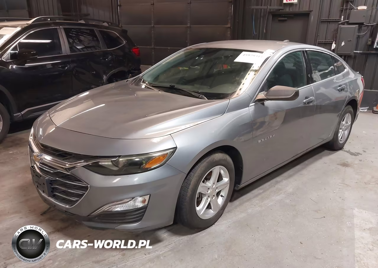 2023 Chevrolet Malibu Fwd 1Fl VIN:1G1ZC5ST7PF124754 - 2