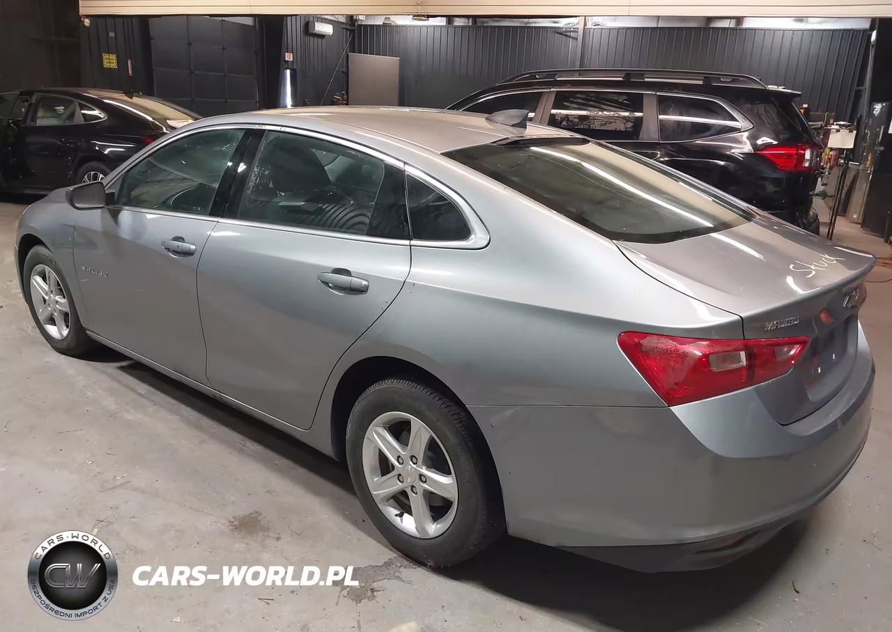 2023 Chevrolet Malibu Fwd 1Fl VIN:1G1ZC5ST7PF124754 - 3