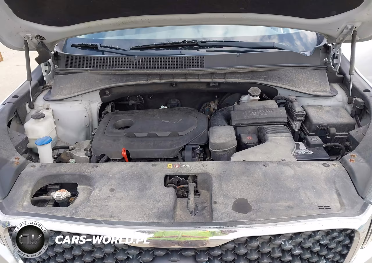 2017 Kia Sorento 2.4L Lx VIN:5XYPGDA37HG246222 - 10