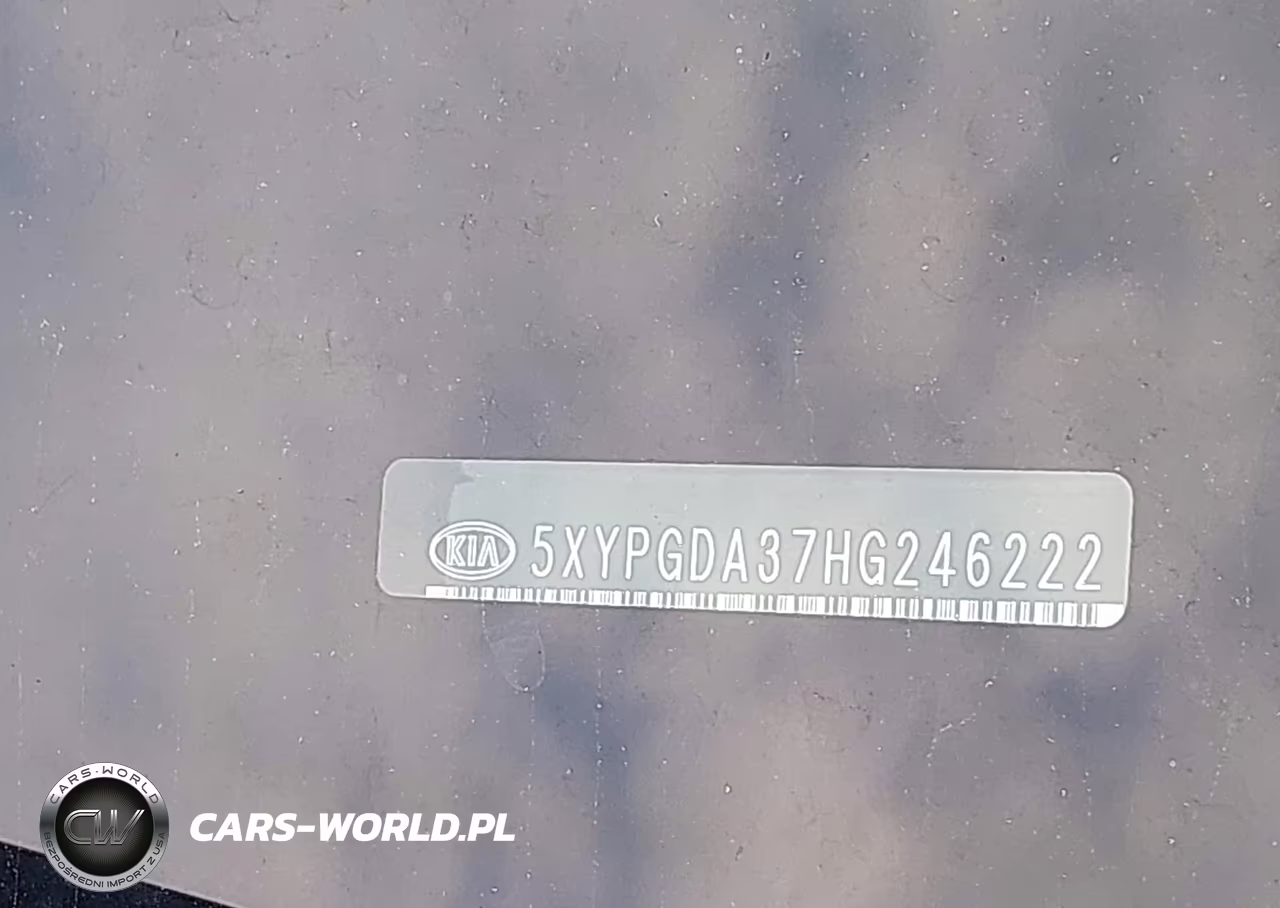 2017 Kia Sorento 2.4L Lx VIN:5XYPGDA37HG246222 - 9