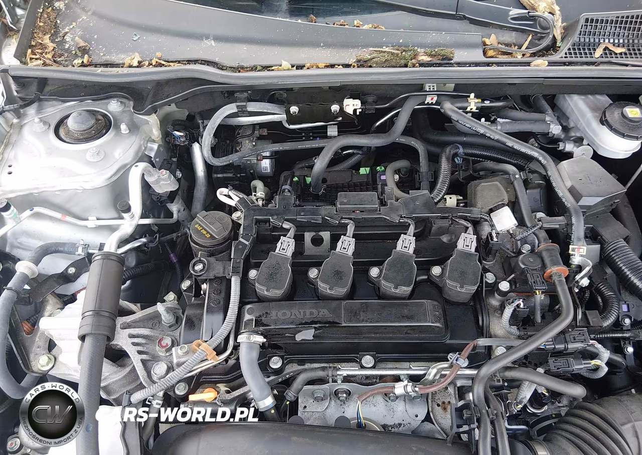 2024 Honda Civic Touring VIN:2HGFE1F99RH303442 - 10