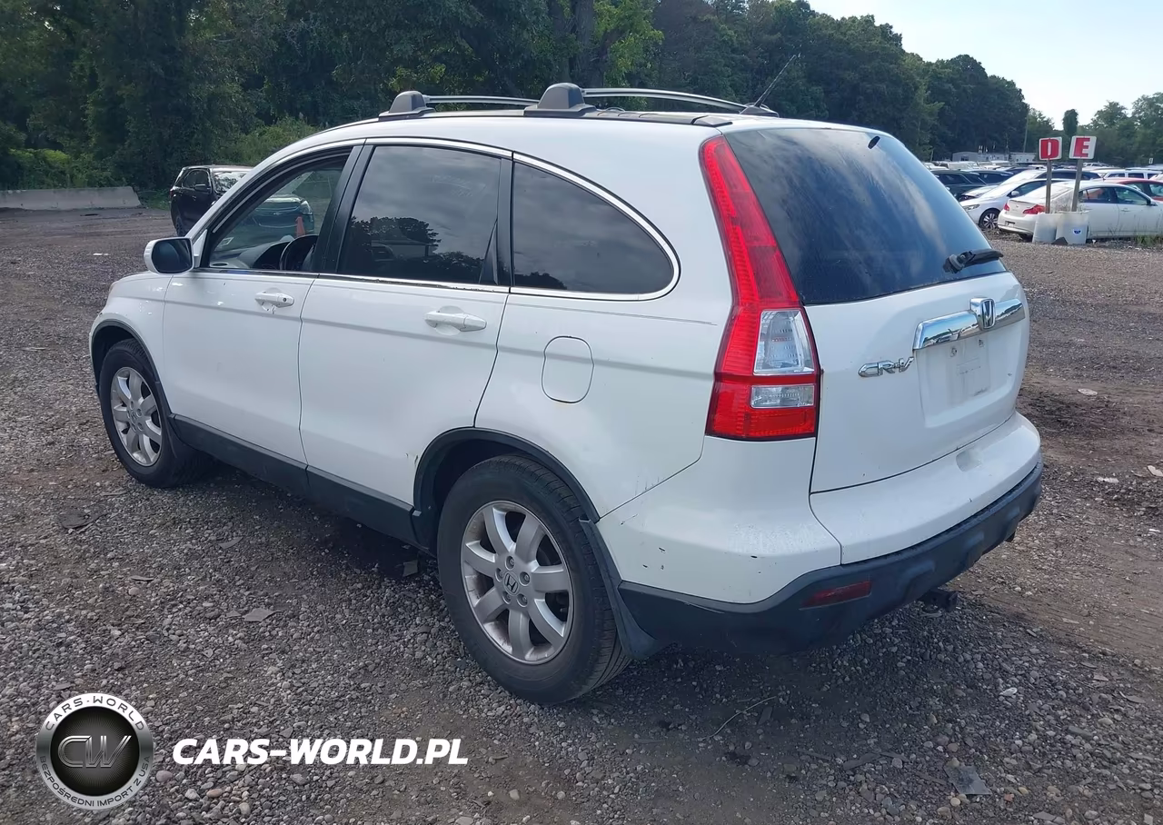 2007 Honda Cr-V Ex-L VIN:JHLRE48707C079909 - 3