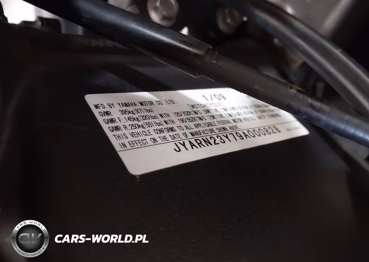 2009 Yamaha Yzfr1 VIN:JYARN23Y79A000828 - 10