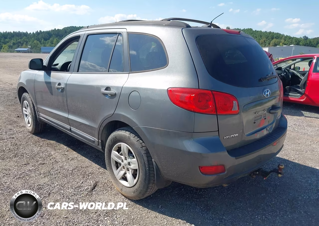 2009 Hyundai Santa Fe Gls VIN:5NMSG13D29H250622 - 3