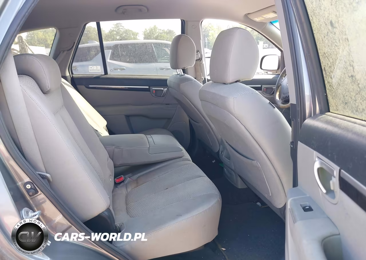 2009 Hyundai Santa Fe Gls VIN:5NMSG13D29H250622 - 8